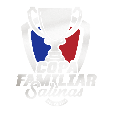 Alcaldia Sticker by Alcaldía Salinas