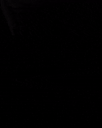 Teamnlshorttrack GIF by Shapevisions