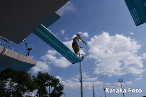 HoskarXTK giphygifmaker toma contacto sony a9 ii GIF