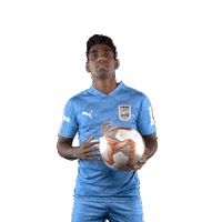 Indian Super League Football Sticker by Mumbai City FC