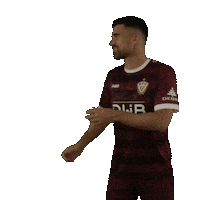 Football Soccer Sticker by BFC Dynamo