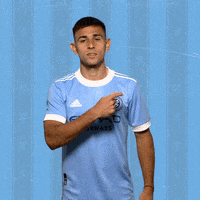 Major League Soccer Reaction GIF by NYCFC