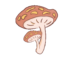 CarolineContrerasImmagina art mushroom decoration bouncing Sticker