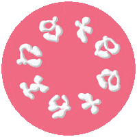 Pink Teething Sticker by [PIAS]
