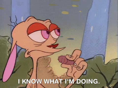 Ren And Stimpy Nicksplat GIF by NickRewind