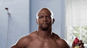 Fly Brain GIF