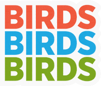 Love Birds Typography GIF by National Audubon Society