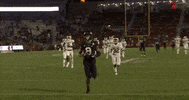 Hutchinson Touchdown Cyclones GIF by CyclonesTV