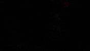 Excited Party GIF