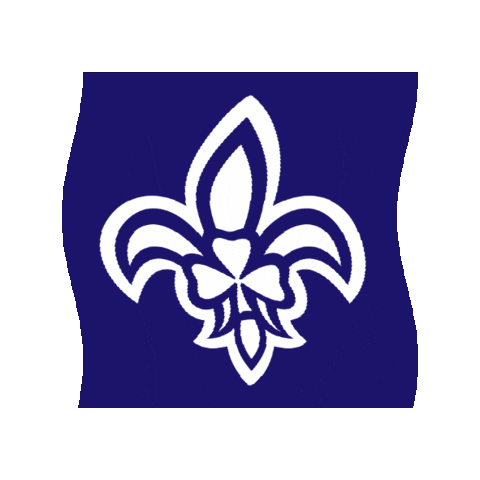 scoutingireland giphygifmaker scouting ireland irish scouts ireland scouts Sticker