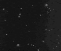 Season 1 Twilight Zone Original GIF by Paramount+