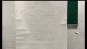 Emueagles Emusoccer GIF by EMU Athletics