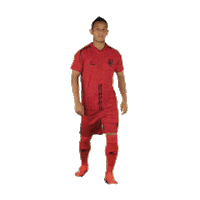 Celebration Redeem Sticker by Indian Super League