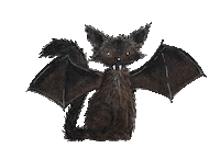 Black Cat Sticker by eineckig