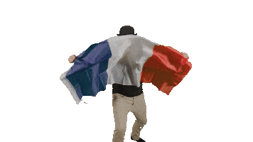French Bonjour Sticker by DVTD MGMT