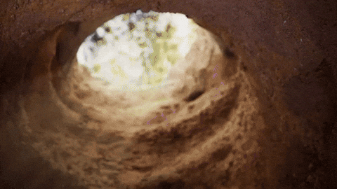 Scared Bunny GIF by Pokémon