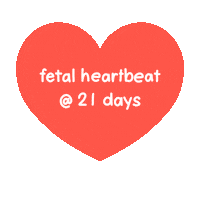 Pro Life Anti Abortion Sticker