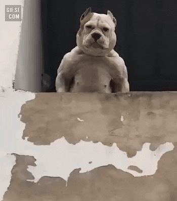 swanjun30 giphyupload GIF