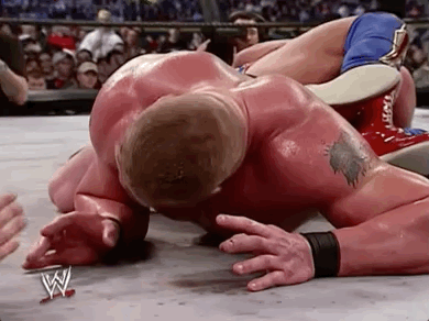 Brock Lesnar No GIF by WWE