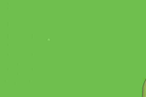 Friends Travel GIF by bubly