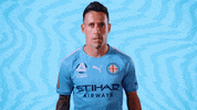 Cabrera GIF by Melbourne City