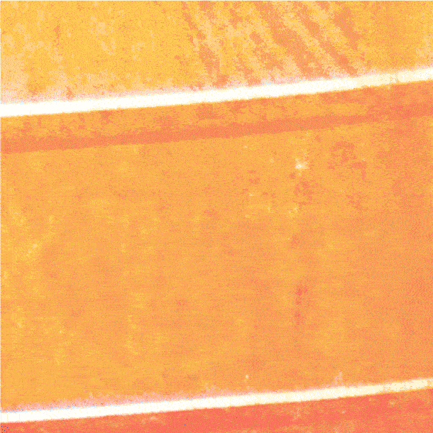 Beach Ocean GIF by Apply Find & Share on GIPHY