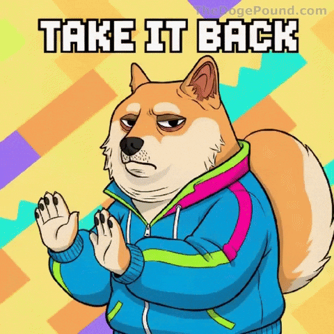 Shiba Inu No GIF by Doge Pound