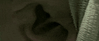 Hard Rock GIF by I Prevail