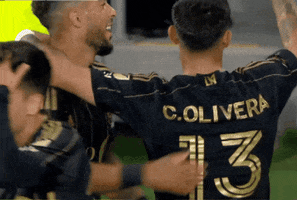 Regular Season Sport GIF by Major League Soccer