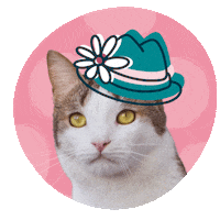 Cat In A Hat Sticker