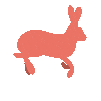 Bunny Rabbit Sticker by Hanseatic Bank