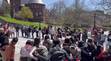 Cornell Protesters Celebrate After Ceasefire Divestment Referendum