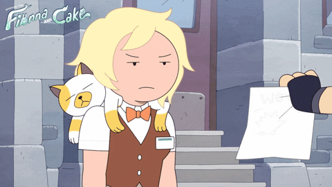 Adventure Time Fionna And Cake GIF by Cartoon Network
