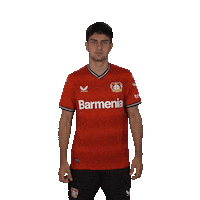 Come On Please Sticker by Bayer 04 Leverkusen