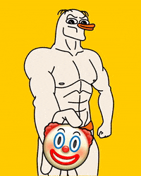 Duck Solana GIF
