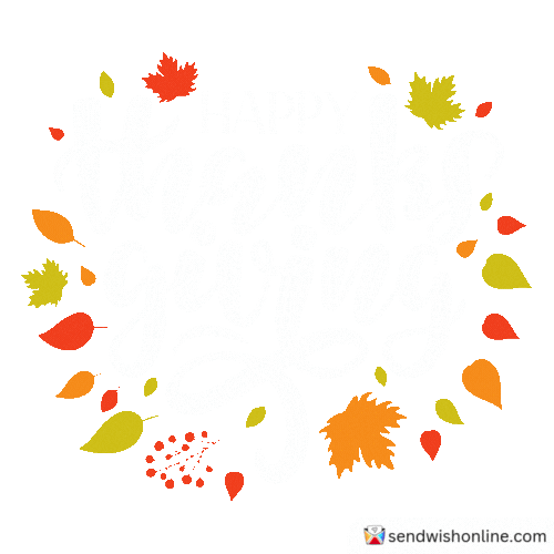 Thanks Thanksgiving Sticker by sendwishonline.com