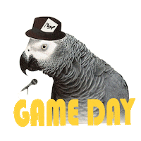 Game Day Bird Sticker by Puppy Bowl