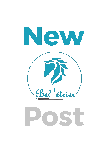 Beletrier giphyupload beletrier beletriernewpost Sticker