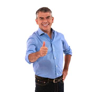 tinyhorse giphyupload peru Vota partido morado Sticker