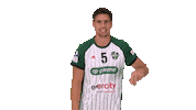 Handball-Bundesliga Handball Sticker by LIQUI MOLY HBL