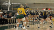 north dakota state bison GIF by NDSU Athletics