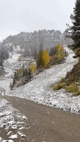Ski Resort Operators Rejoice as Snow Blankets Utah Mountains