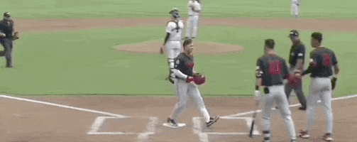 College World Series Baseball GIF by NCAA Championships