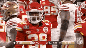 Super Bowl Sport GIF by NFL