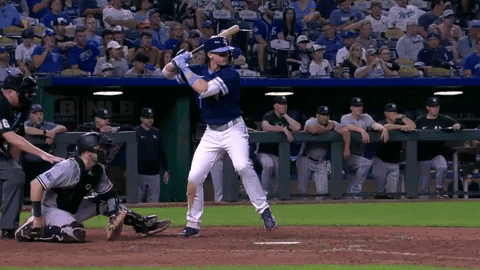 tesstass giphyupload GIF