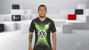 Soccer Futbol GIF by Bundesliga