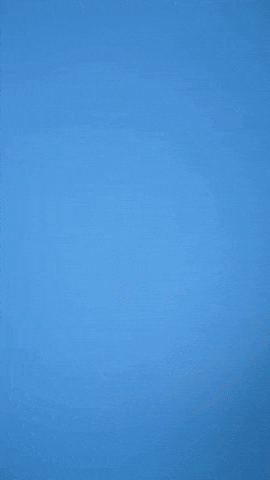 Come On Whatever GIF by Bernardson