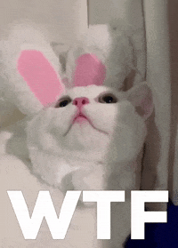 Kami Wtf GIF