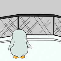 Conor Mcgregor Fighting GIF by Pudgy Penguins