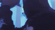 superchiefgallerysoho GIF by Superchief TV™